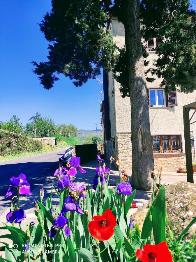 Willa Rohouse -Experience- Arezzo Zewnętrze zdjęcie